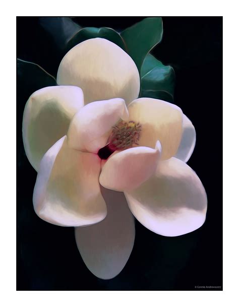 Money magic auspicious magnolia